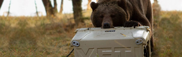 Yeti Water Bottles