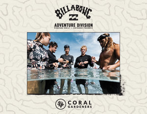 Billabong