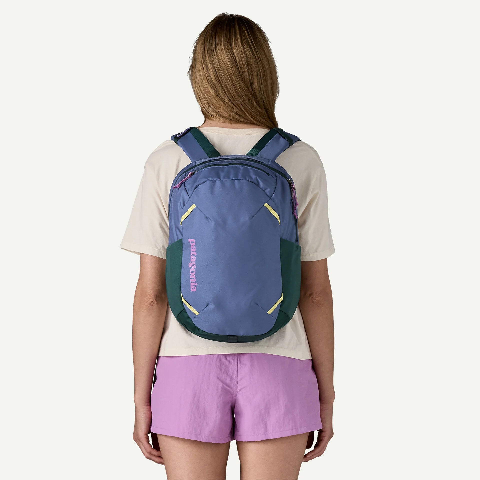 Patagonia Atom Daypack 24L