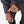 Patagonia Men's Insulated Boulder Fork Rain Jacket - Black