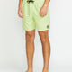 Volcom Center Trunk Shorts - Mist Green