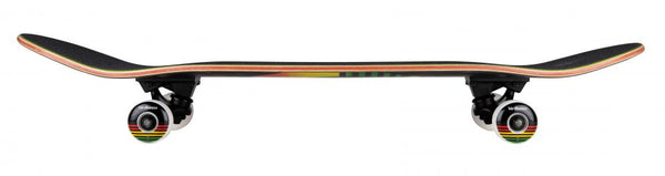 Birdhouse complete Skateboard sunset