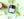 BLISS – Frangipani & Coconut Aromatherapy Candle - 180ml