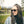 CHPO Havana Sunglasses Cigar Smoke Brown