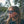 CHPO Max Sunglasses - Shiny Black