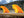 FCS II Performer Neo Glass Eco Tri Fins