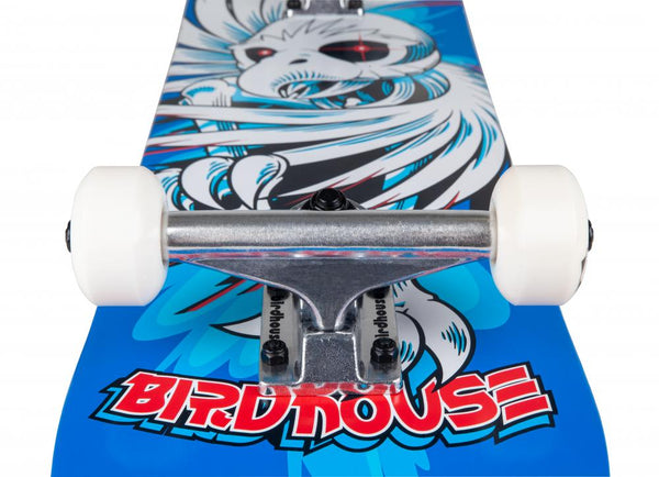 Birdhouse Complete Stage - Hawk Spiral