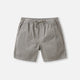 Katin Ward Short - Neutral Gray