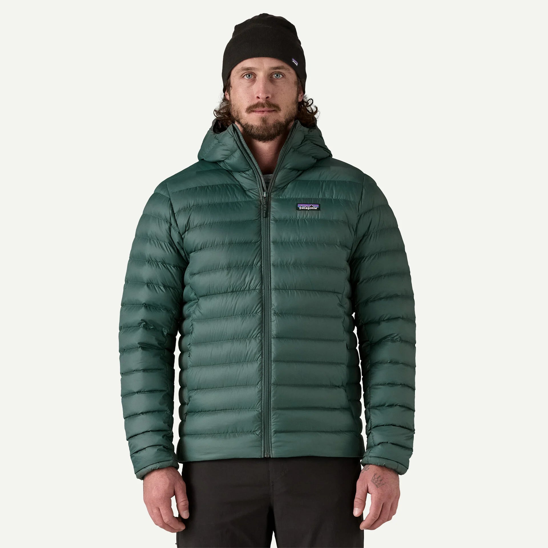 Patagonia Men's Down Sweater Hoody Jacket - Cascade Green