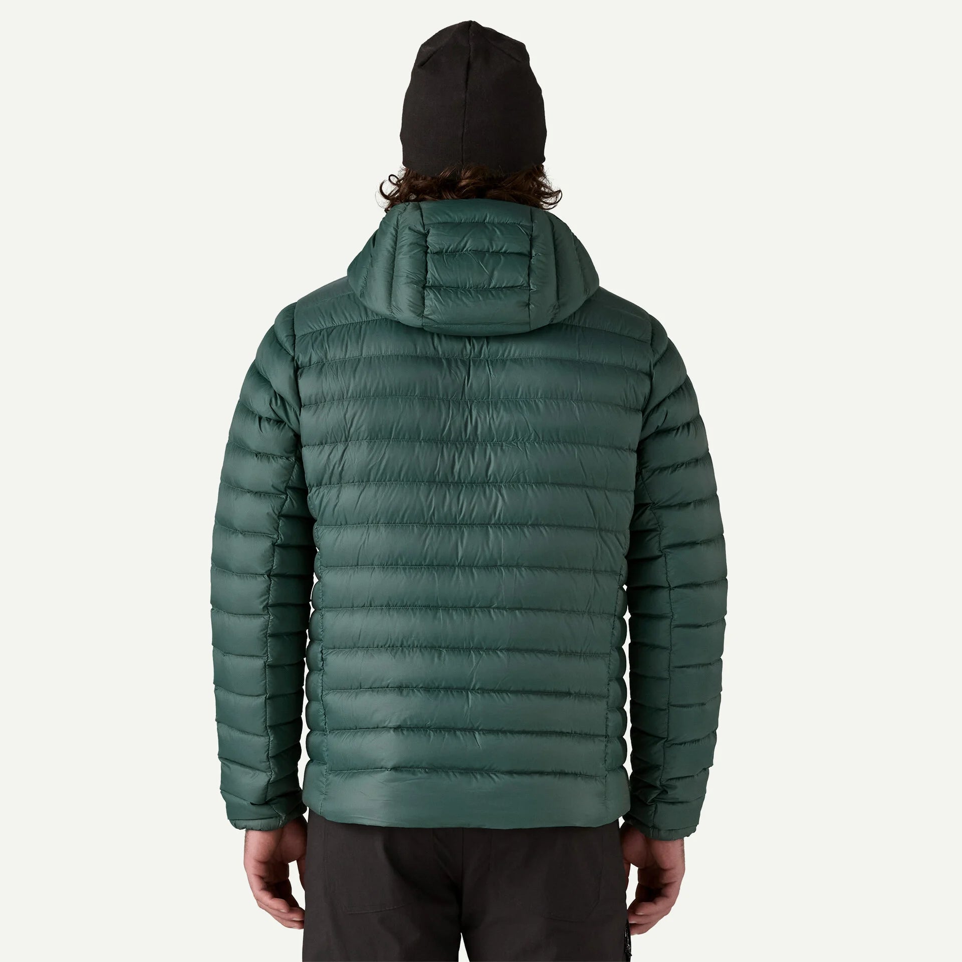Patagonia Men's Down Sweater Hoody Jacket - Cascade Green