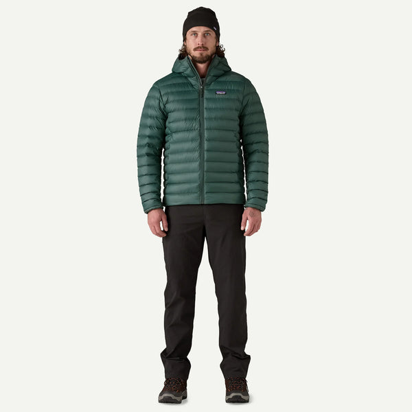 Patagonia Men's Down Sweater™ Hoody Jacket - Cascade Green