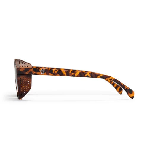CHPO Rickard Sunglasses - Coffee / Brown Gradient
