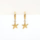 Pineapple Island Starfish Hoop Waterproof Earrings