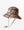 Billabong Hat Billabong Corals Bucket Hat for Women