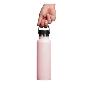 Hydro Flask Flasks 21oz Hydro Flask (621ml) Trillium