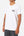 Katin T-shirt Katin Corky Tee in White