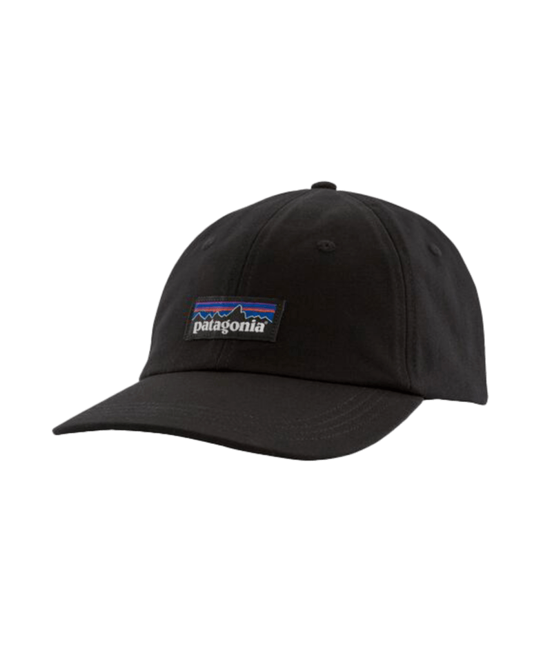 Patagonia P-6 Label Trad Cap