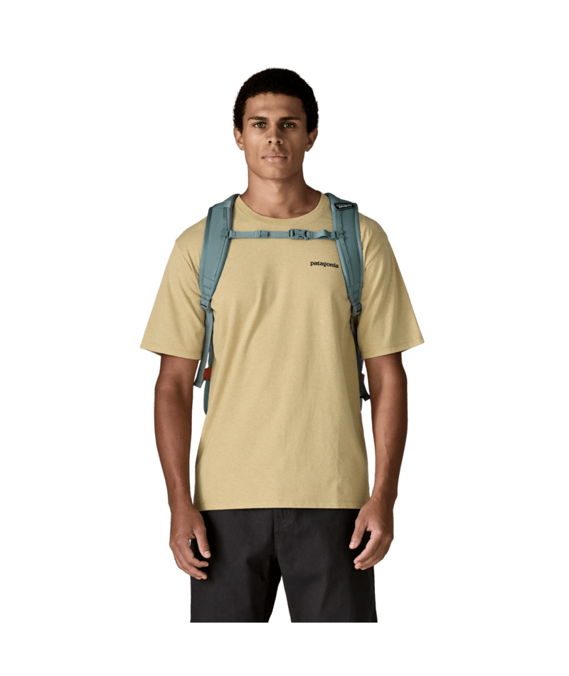 Patagonia Refugio Daypack 30L