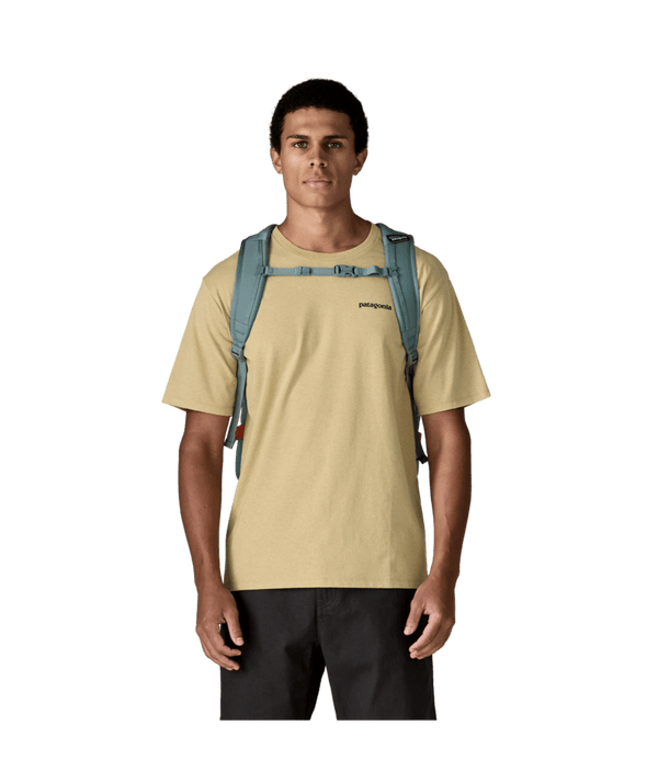 Patagonia Refugio Daypack 30L