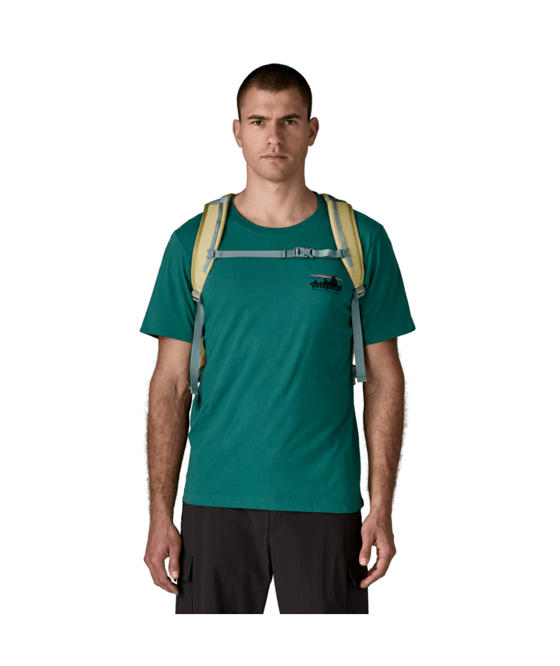 Patagonia Refugio Daypack 30L