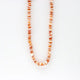 Pineapple Island Ahiki Natural Shell Necklace - Orange