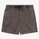 Volcom Center Trunk Shorts - Black