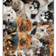 Leus Beach Eco Towel - Puppy Party