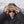 Sunski Sunglasses Treeline - Tortoise Forest